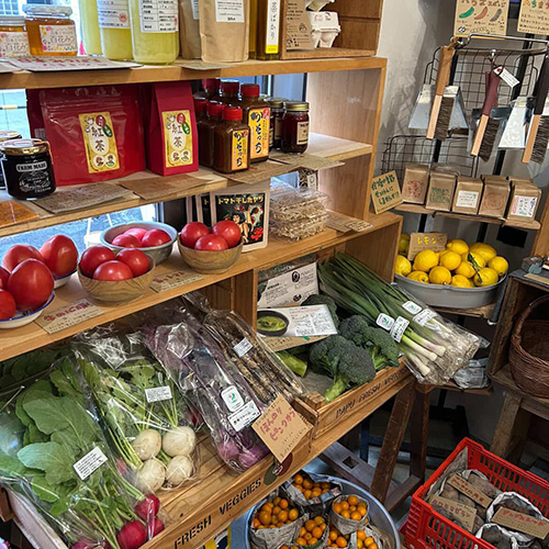 毎月恒例25日開催の串揚げ万年青のオモテ市 vol.151出品情報 その8 #PAPU