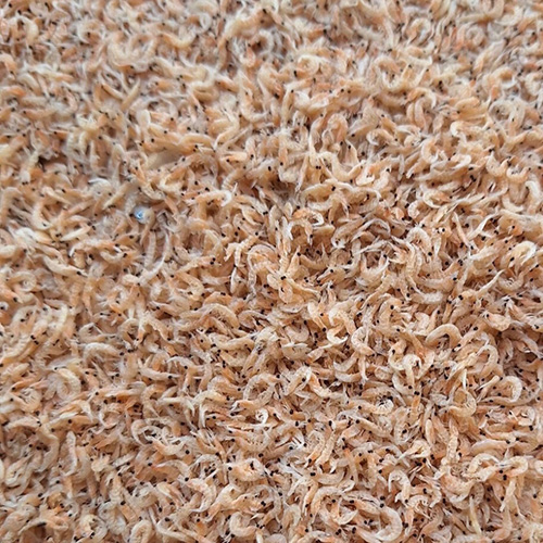 串揚げ万年青のオモテ市 vol.152
出品情報 その3 #高知直送干物